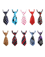 Cozymo Large Neck Tie Daily Assorted [25 Pack]